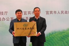 茶财产分析产值达到300亿元以