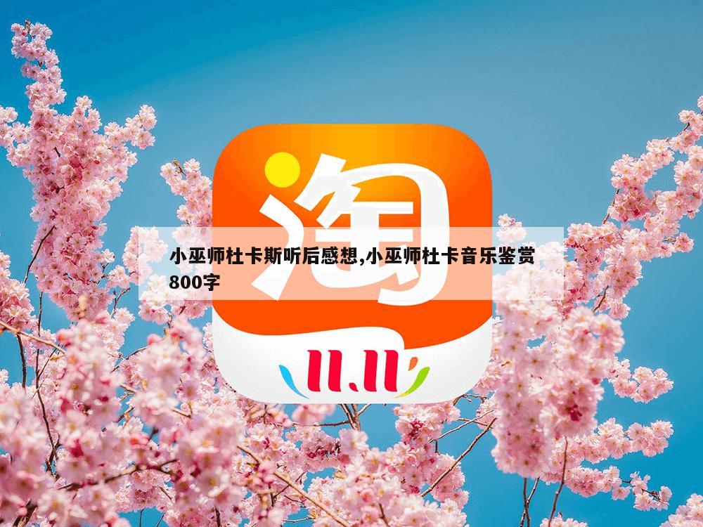 小巫师杜卡斯听后感想,小巫师杜卡音乐鉴赏800字