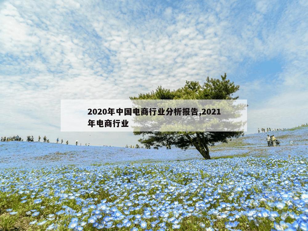 2020年中国电商行业分析报告,2021年电商行业