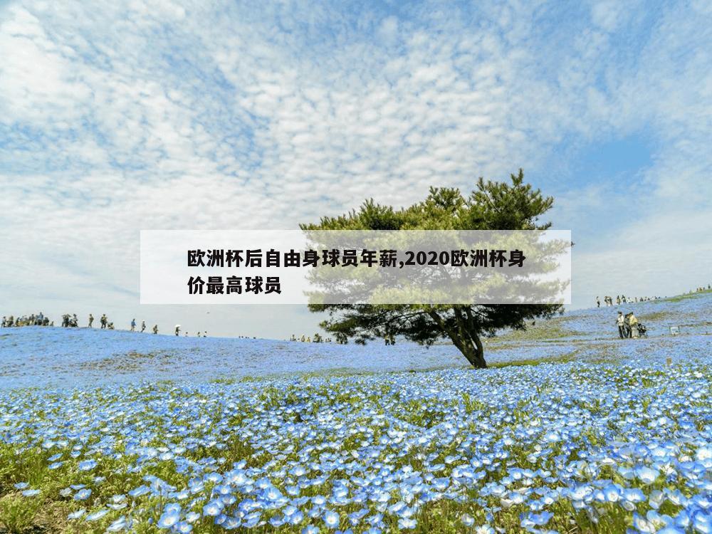 欧洲杯后自由身球员年薪,2020欧洲杯身价最高球员