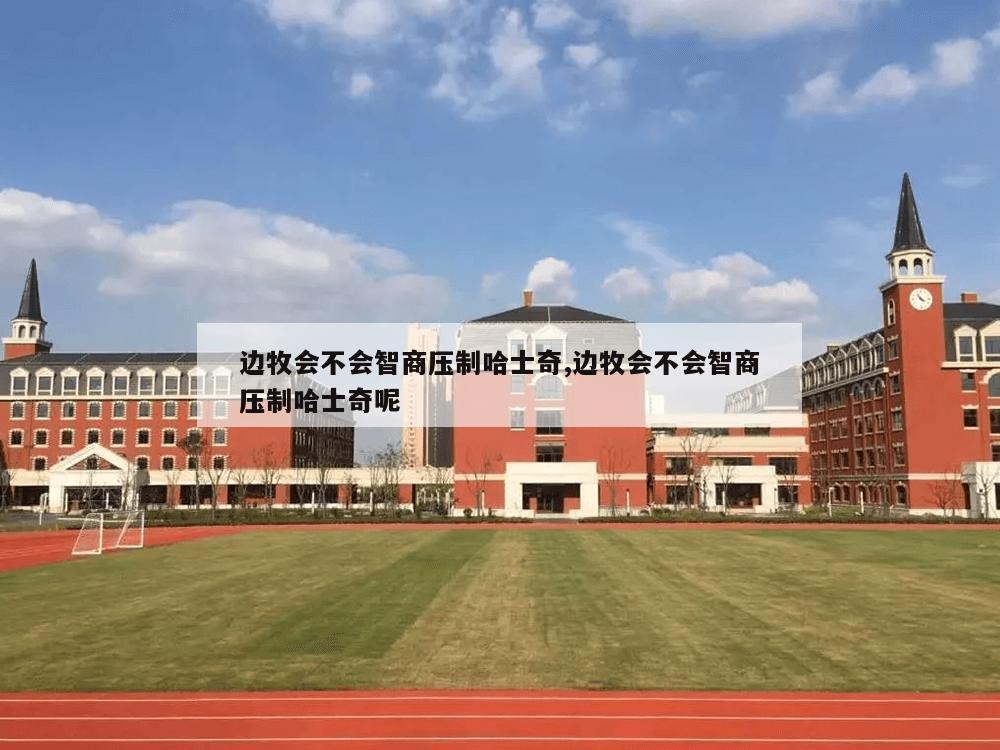 边牧会不会智商压制哈士奇,边牧会不会智商压制哈士奇呢