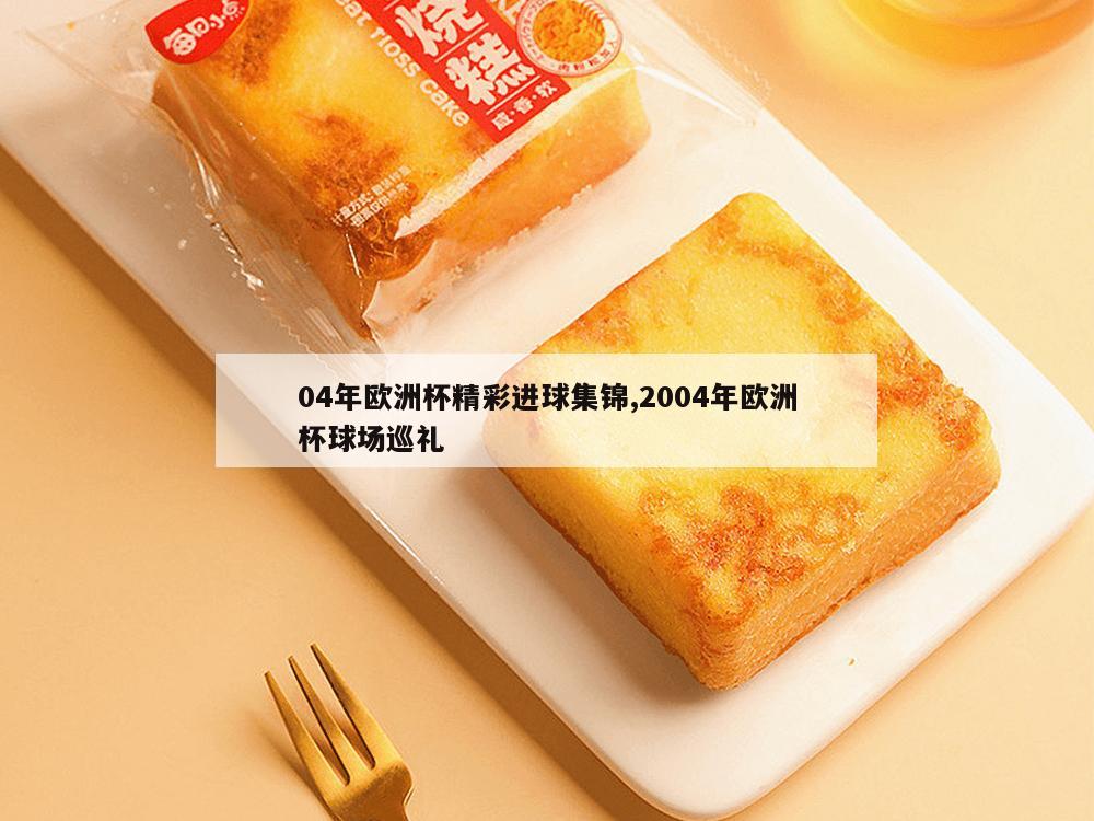 04年欧洲杯精彩进球集锦,2004年欧洲杯球场巡礼