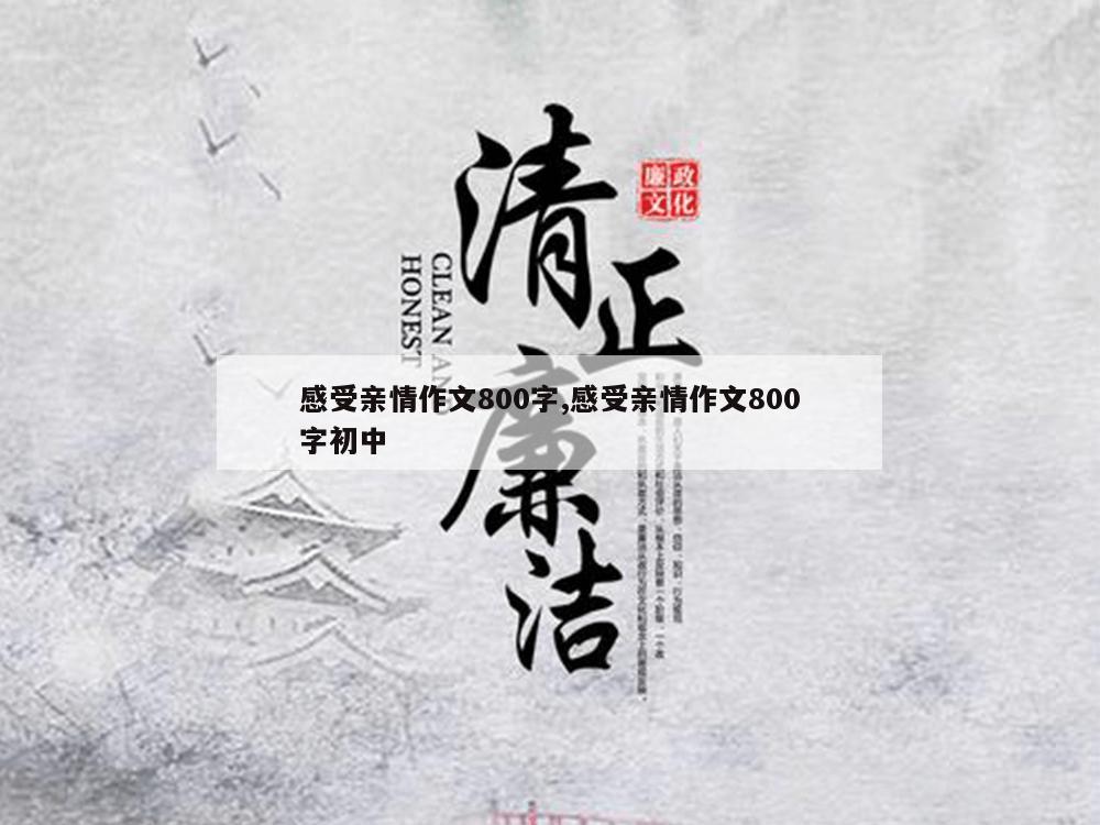 感受亲情作文800字,感受亲情作文800字初中