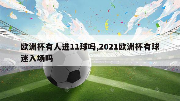 欧洲杯有人进11球吗,2021欧洲杯有球迷入场吗